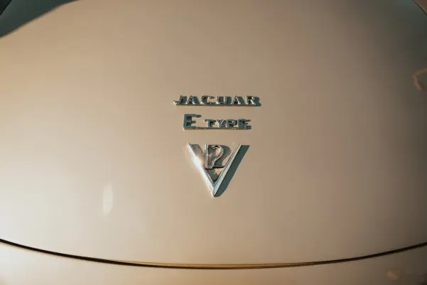 Holdnspin Casino App Android/iOS